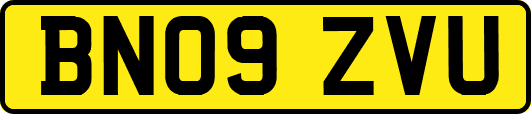 BN09ZVU