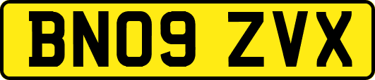 BN09ZVX