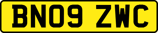 BN09ZWC