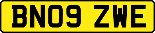 BN09ZWE