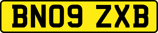 BN09ZXB