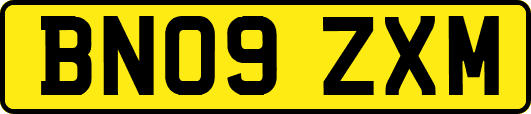 BN09ZXM