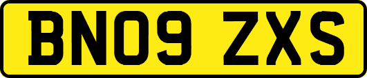 BN09ZXS