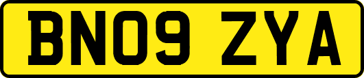 BN09ZYA