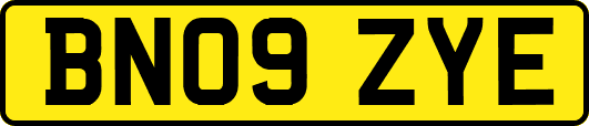 BN09ZYE