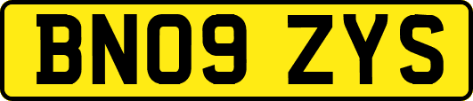 BN09ZYS