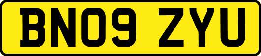 BN09ZYU