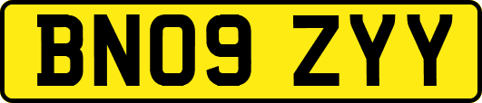 BN09ZYY