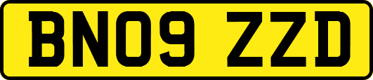 BN09ZZD