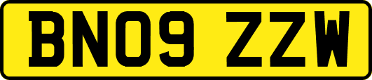 BN09ZZW