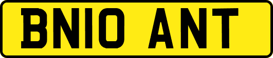BN10ANT