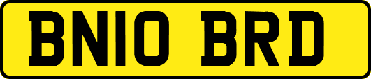 BN10BRD