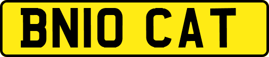BN10CAT