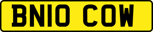 BN10COW