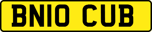 BN10CUB