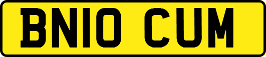 BN10CUM