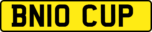 BN10CUP