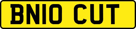 BN10CUT