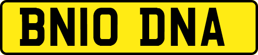BN10DNA