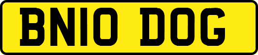 BN10DOG
