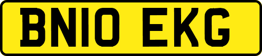 BN10EKG