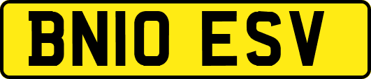 BN10ESV