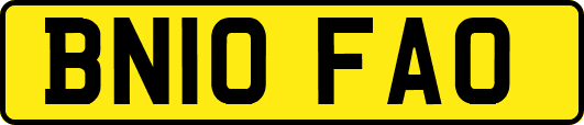 BN10FAO