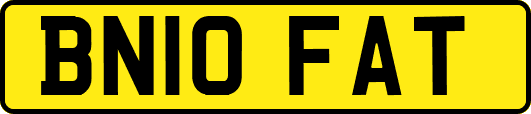 BN10FAT