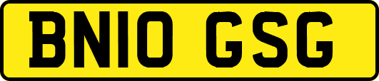 BN10GSG