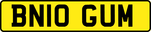 BN10GUM