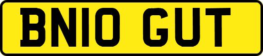 BN10GUT