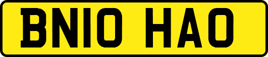 BN10HAO
