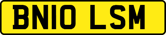BN10LSM