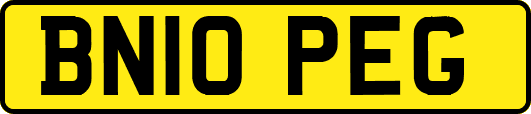 BN10PEG