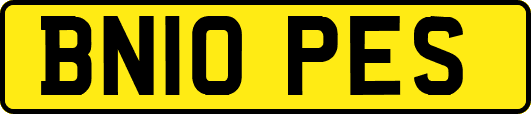 BN10PES