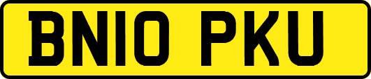 BN10PKU
