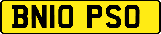 BN10PSO