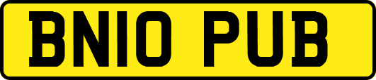 BN10PUB