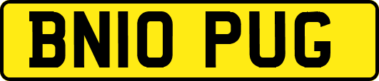 BN10PUG