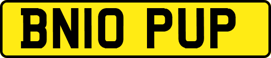 BN10PUP
