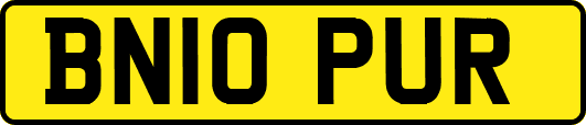 BN10PUR