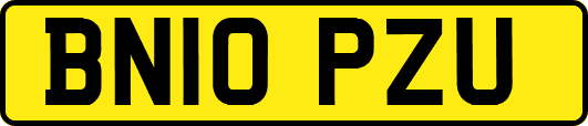 BN10PZU
