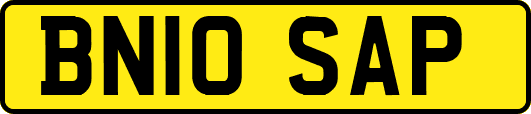 BN10SAP