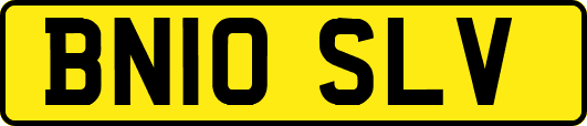 BN10SLV