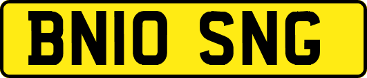 BN10SNG