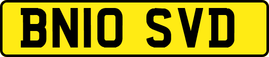 BN10SVD