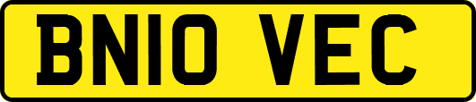 BN10VEC