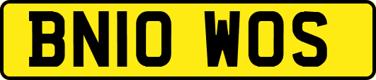 BN10WOS