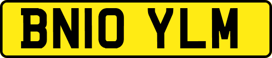 BN10YLM