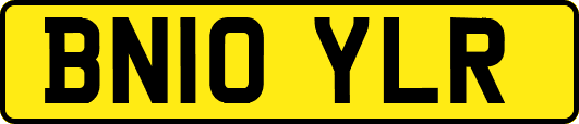BN10YLR